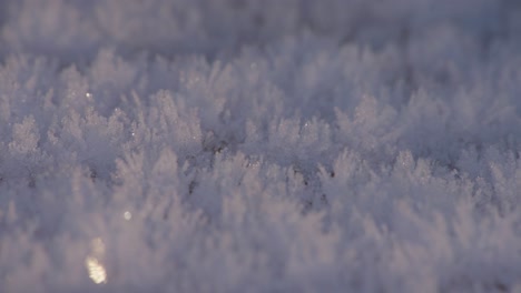 Morgenfrost.-Eiskalte-Temperaturen-In-Großbritannien