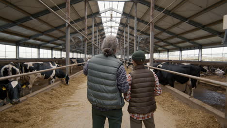 father and son at dairy farm