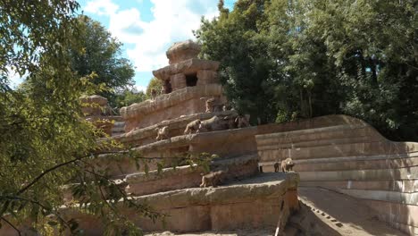 babuinos en el recinto del zoológico