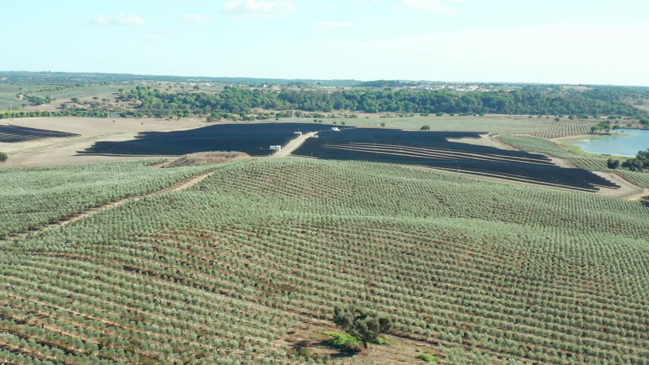 planta de paneles solares y granja de olivos en un terreno montañoso, portugal