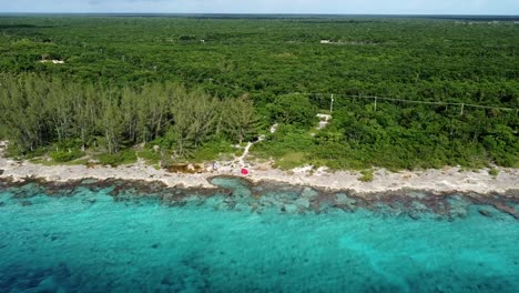 aerial view of a caribbean ironshore and jungle in the background