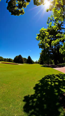 Sunny Park Landscape with Lush Trees and Grass