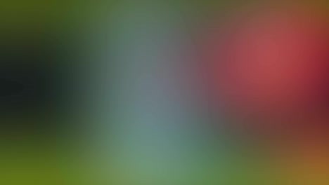 blurred motion of multicolored bright lights
