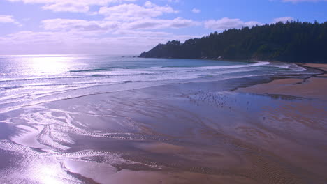 Aerial-flying-over-beach,-waves,-surfers,-seagulls-flying,-reflections