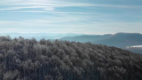 Drohne-Steigt-An-Sonnigen-Wintertagen-über-Bäume-Mit-Gefrorenen-Zweigen-Auf-1