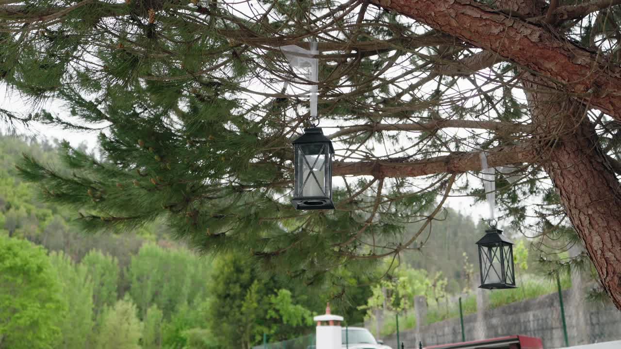 two black lanterns sway gently under pine tree in peaceful green landscape