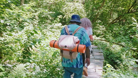 una pareja de senderistas en un bosque.