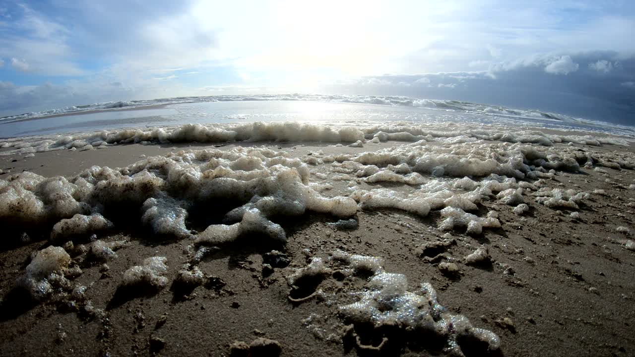 해변에서 폭풍의 해조류 거품, 파도와 함께 모래 해변, 북해, jütland, sondervig, 덴마크, 4k