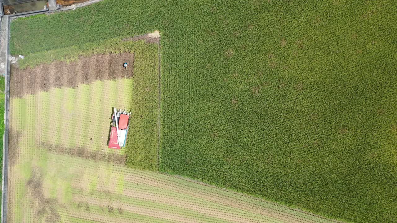 공중 드론 영상은 논밭을 재배하고, 농부는 다기능 논 수확기로 작물을 수확하고 있습니다. 대만 돌리우 윈린시에서 쌀 수확기 트랙터