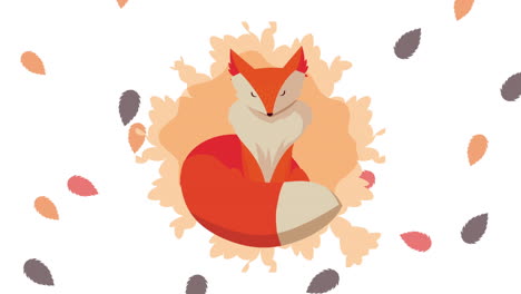 cute fox in autumn leaves