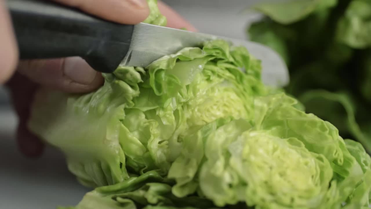 Hand cutting fresh gem lettuce in kitchen medium shot close up shot