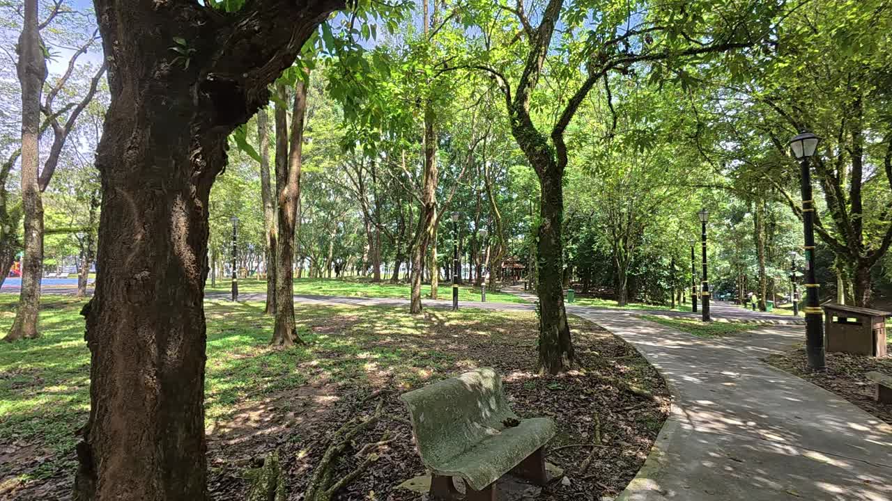 Strolling along a shaded tropical garden path. Tall trees provide a lush canopy. The weather is bright and hot.