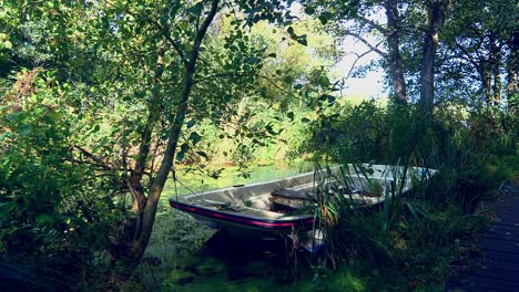 Un-Bote-Auxiliar-Con-Fachada-Cuadrada-Bien-Escondido-En-Una-Laguna-Rodeada-De-árboles-En-Un-Caluroso-Día-De-Verano