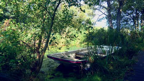 a well hidden square fronted dinghy boat in a lagoon surrounded by trees on a hot summer day