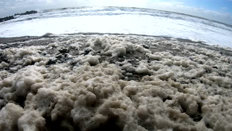 algae foam in storm on the beach, sandy beach with waves, north sea, jütland, sondervig, denmark, 4k