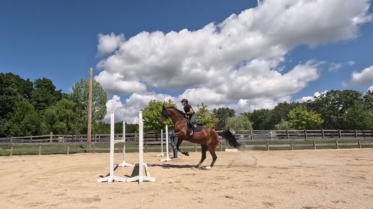 Un salto imponente di un cavallo sopra un ostacolo in un'arena all'aperto in una giornata estiva. Filmato al rallentatore.