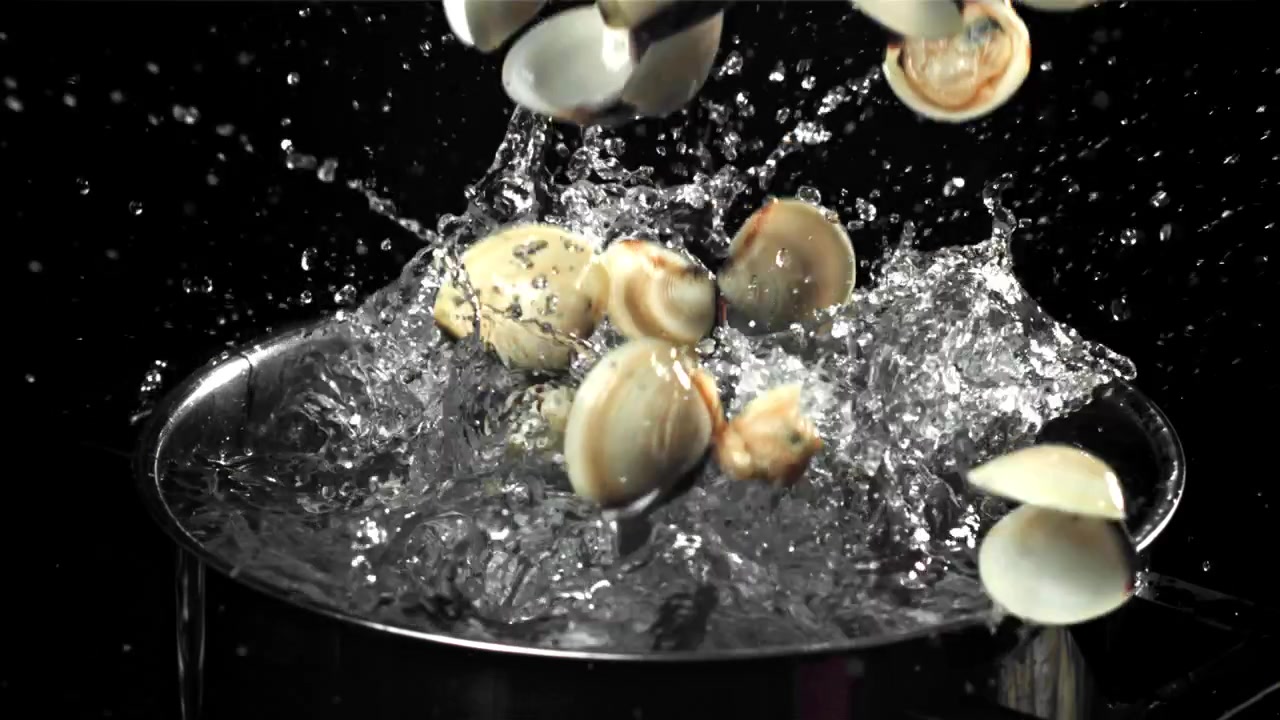 Fresh Clams Splashing into a Pot of Water in Slow Motion