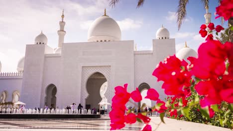 abu dhabu sunny day grand mosque front flowers facade 4k time lapse uae