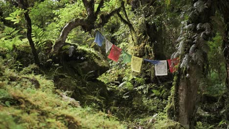 Buddhist-Prayer-Flags-in-a-Forest-in-Nepal-Mountains,-Colourful-Tibetan-Buddhist-Prayer-Flags-in-Green-Tropical-Nature-and-Trees-in-the-Himalayas,-Religious-Symbol-in-Annapurna-Scenery