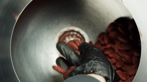 cocoa bean processing in industrial setting
