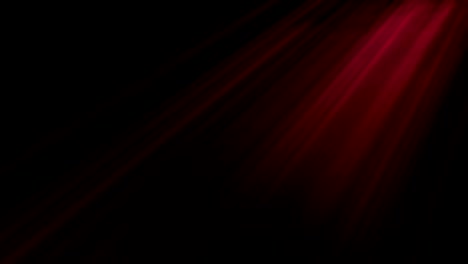 volumetric rays of light shining from above penetrate through the thick airy veil. looped