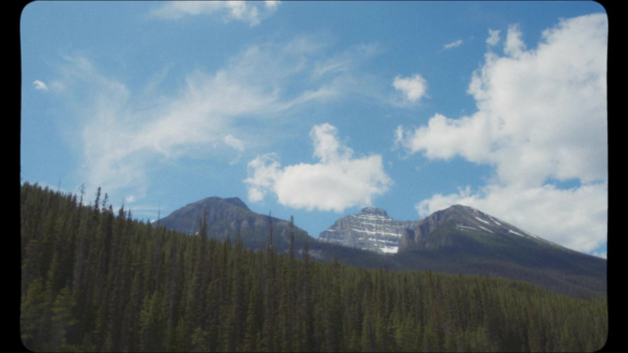 Drive by pine trees and snowy peaks