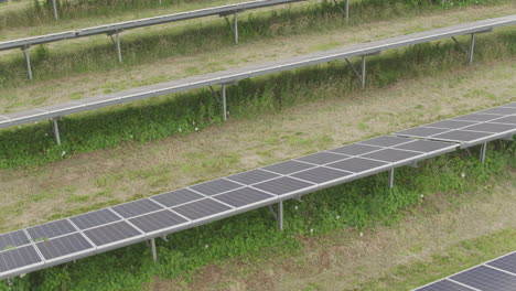 close up aerial of photovoltaic solar panels in an english field green technology