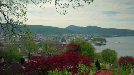 El-Centro-De-Bergen-Y-Sandviken-Vistos-Desde-Fjellveien,-Con-árboles-Coloridos-En-Primer-Plano.