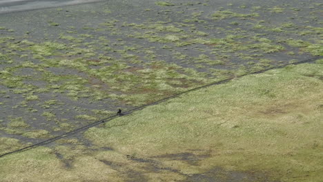 Jinete-Y-Perro-En-La-Playa-De-Arena-Negra-Costa-Sur,-Islandia