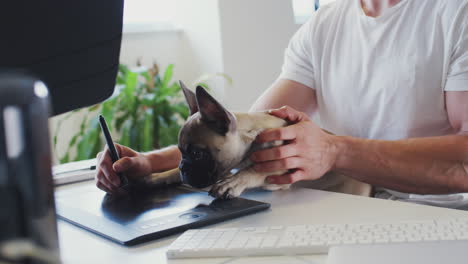 Welpe-Der-Französischen-Bulldogge-Sitzt-Mit-Seinem-Besitzer-Am-Schreibtisch-Im-Büro,-Während-Er-Am-Computer-Arbeitet