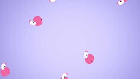 animación de manzanas moviéndose sobre un fondo púrpura