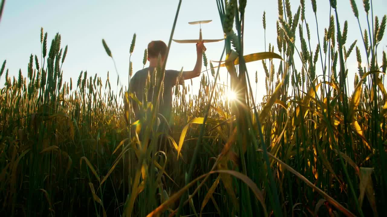 Boy with Toy Airplane in Wheat Field at Sunset