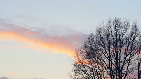 silueta de árbol y hermoso cielo de color con lapso de tiempo de nubes