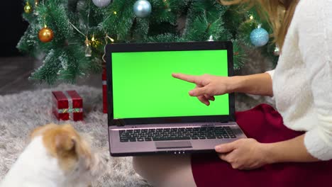 una niña muestra al perro una computadora portátil con una pantalla verde bajo un árbol de navidad en la cocina