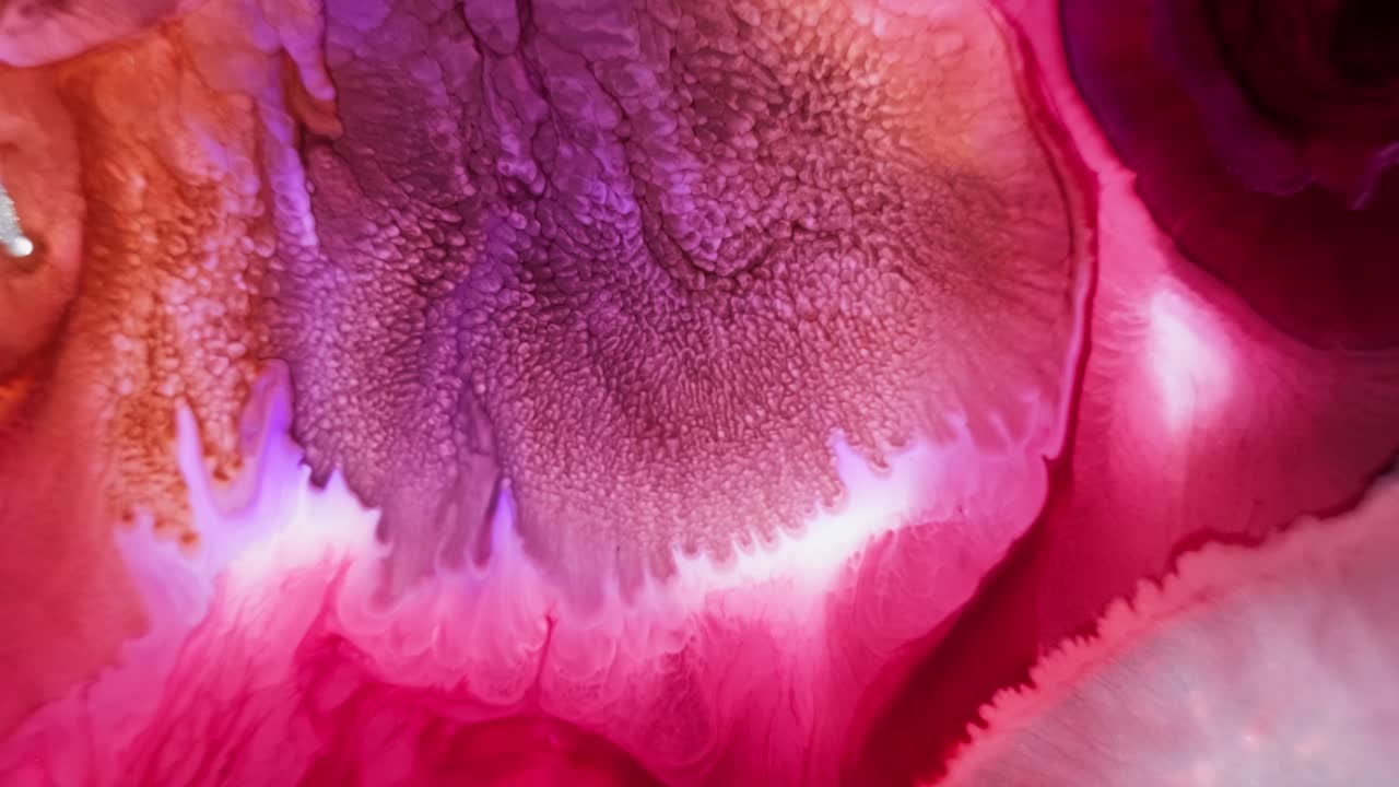 difusión de tinta rosa y púrpura en el agua con intrincados patrones fractales, tiro macro
