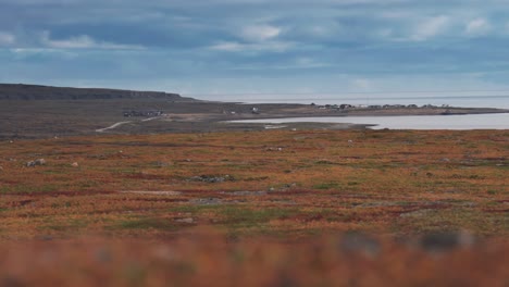 La-Vasta-Extensión-De-Tundra-Otoñal-En-Varanger