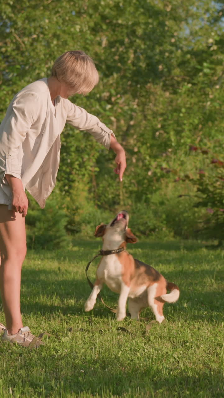 개 주인이 빛 하늘 아래 울창한 초록색과 나무가 있는 야외 정원에서 놀이하는 개에게 돌아다니도록 지시하며, 반려동물과 주인 사이의 유대감, 훈련 및 상호 작용을 보여줍니다.
