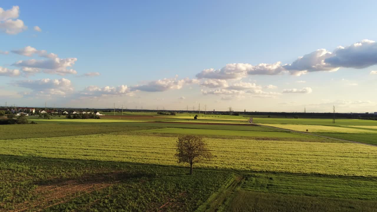 Flying over beautiful German field with a lone tree on the land, mountains in the background and cumulus clouds in the sky