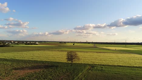 Flying-over-beautiful-German-field-with-a-lone-tree-on-the-land,-mountains-in-the-background-and-cumulus-clouds-in-the-sky