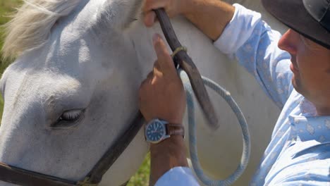 cowboy losing the belt of his white horse