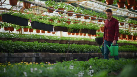gardener carrying watering cans in greenhouse