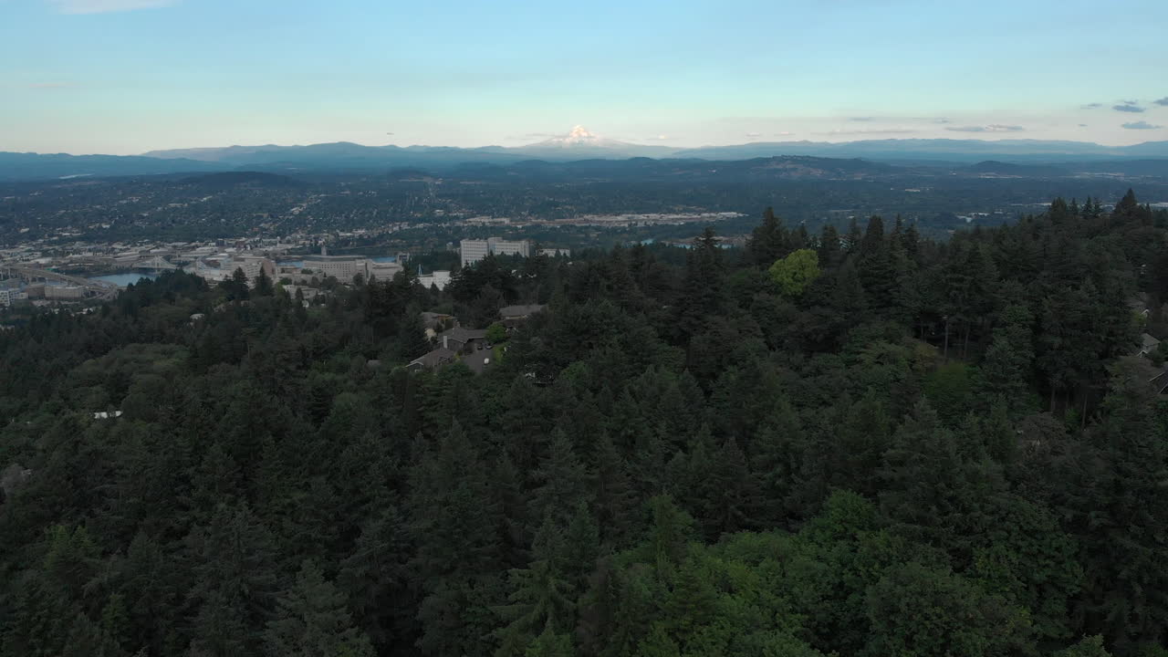 tire hacia atrás del dron disparado por encima de los árboles - amplia vista del monte hood desde oregon