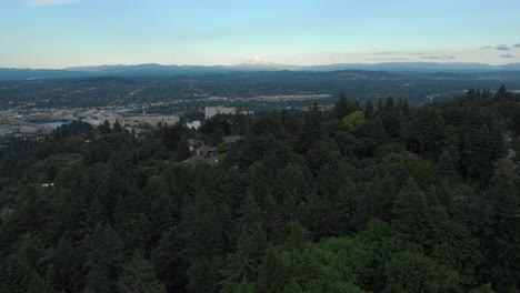 pull back drone shot above the trees - wide view of mount hood from oregon