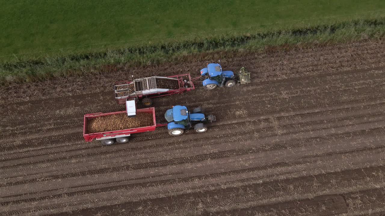 필드 공중에서 감자 작물을 수확하는 트랙터의 조감도