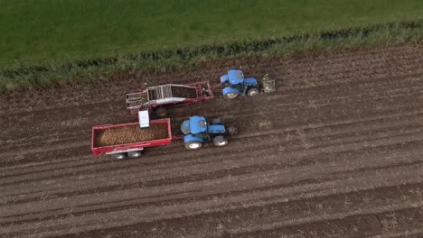 birdseye view of tractors harvesting potato crop in field aerial