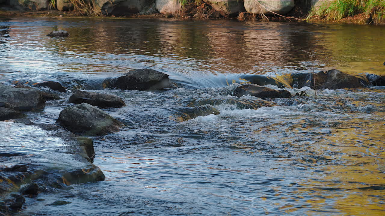 Tratto incontaminato a valle di un fiume autunnale in un Parco Statale