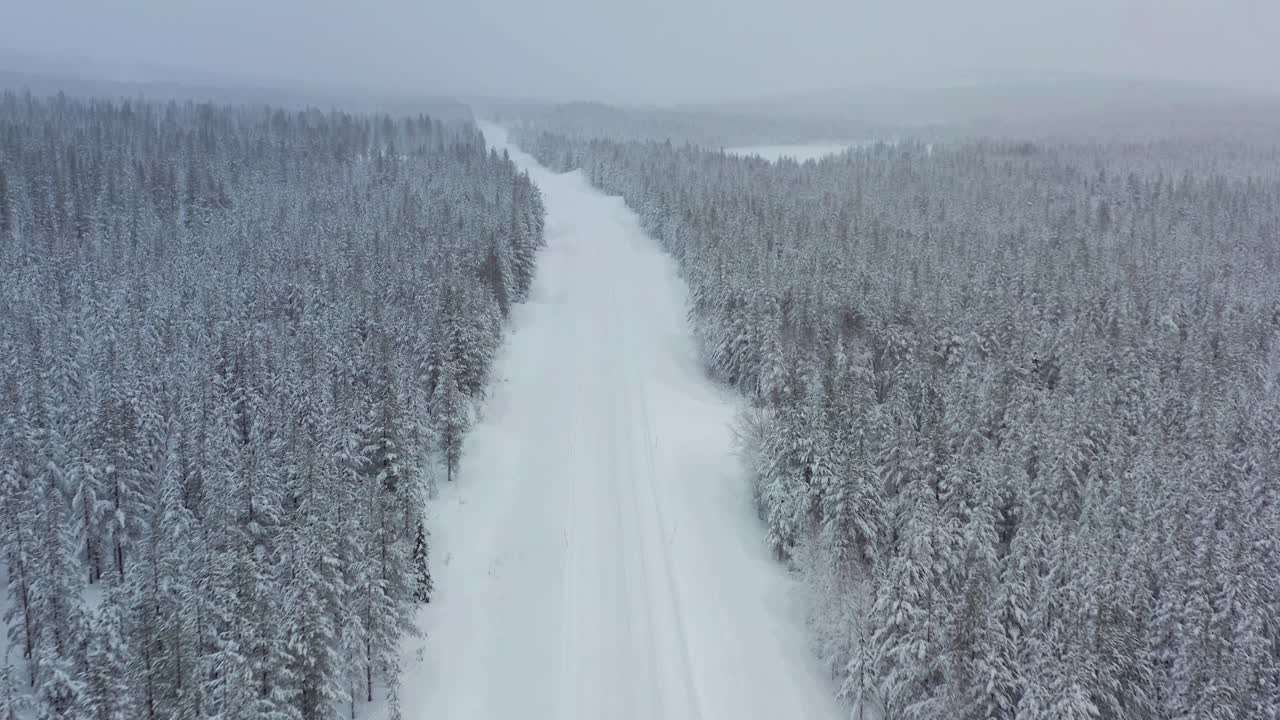 Follow shot of an empty road in the middle of Lapland during winter.