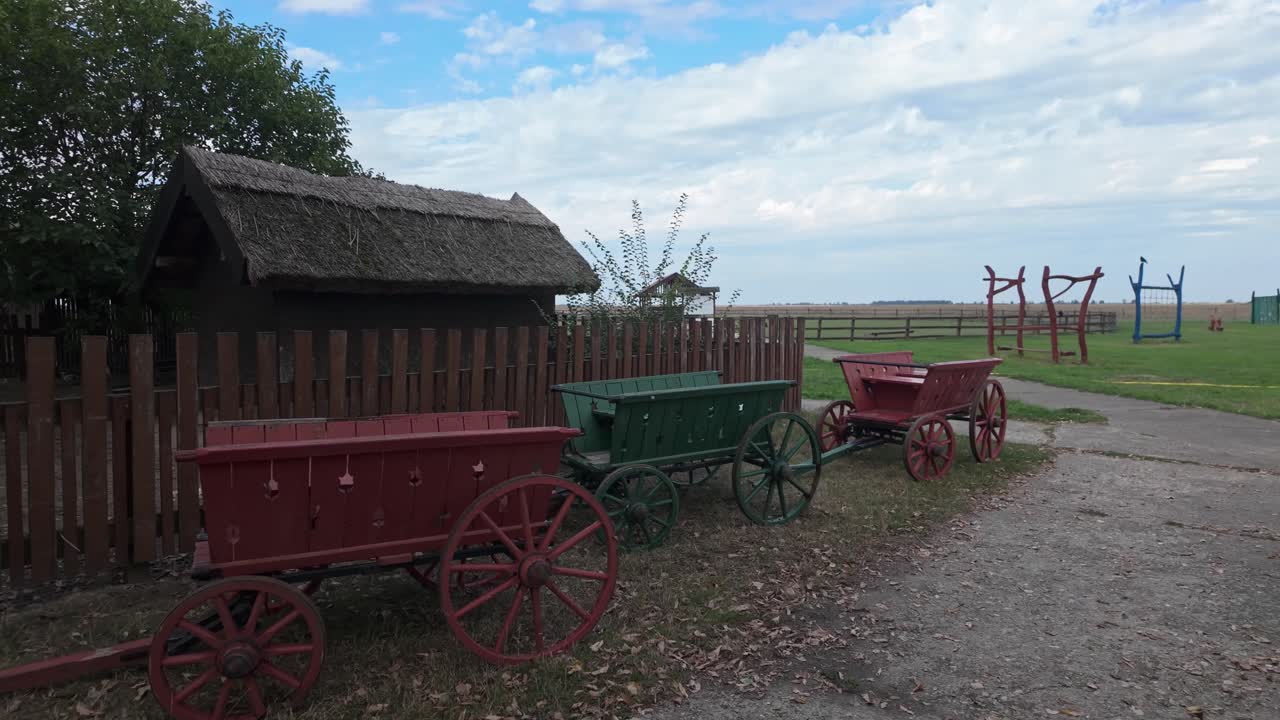 A free roaming chicken runs through a grassy park under old wooden carriages in Puszta, Hungary