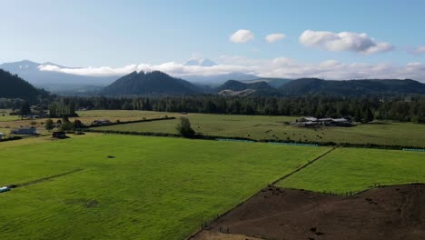 Timelapse-Aéreo-Sobre-Una-Pequeña-Granja-Ganadera-En-Washington-Con-El-Monte-Rainier