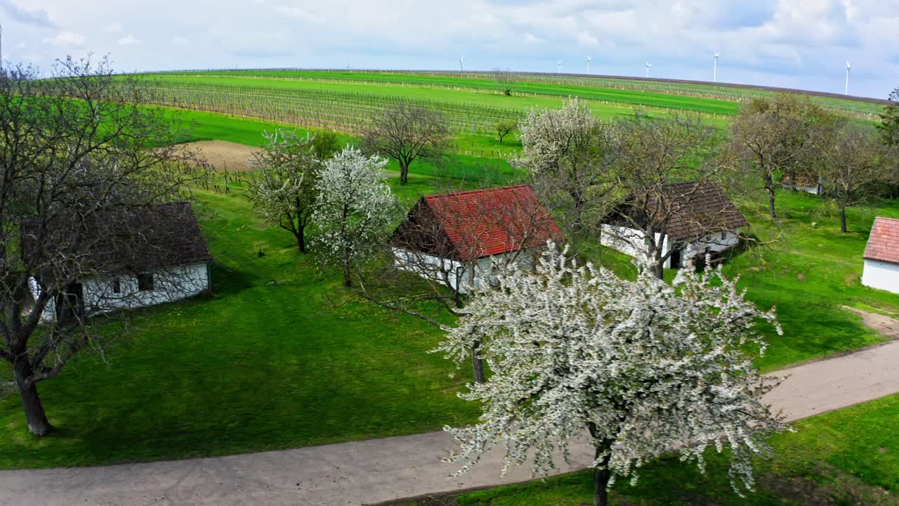 Aerial View Of Wine Cellar Structures With Cherry Blossom Trees In The Weinviertel, Austria